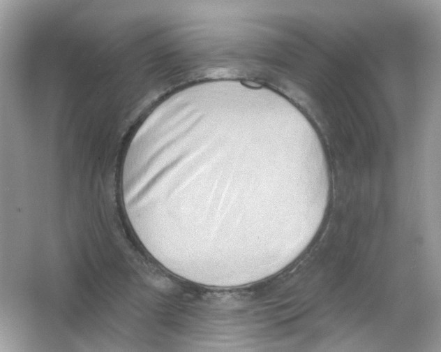 X0000063530297200602172250