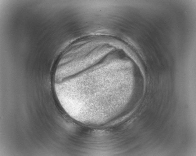 X0000063530298200602172250