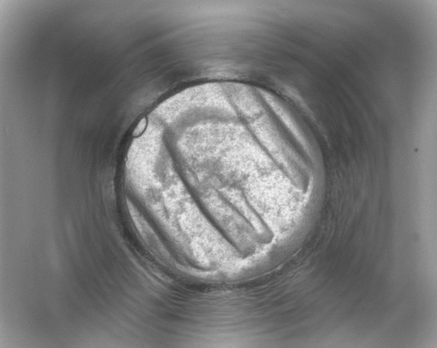 X0000063530299200602172250