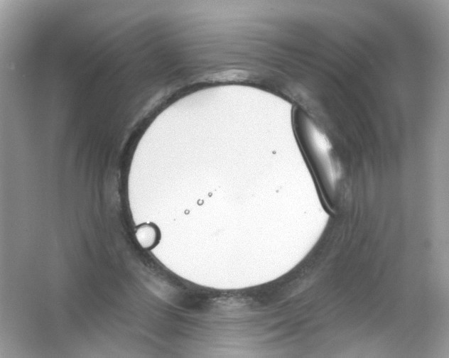 X0000063530300200602172250