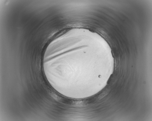 X0000063530301200602172250