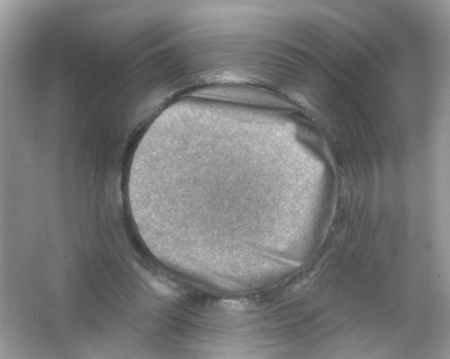 X0000063530302200602172250