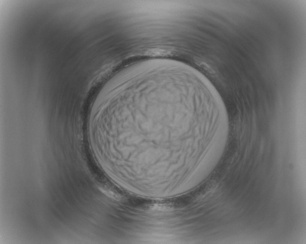 X0000063530303200602172250