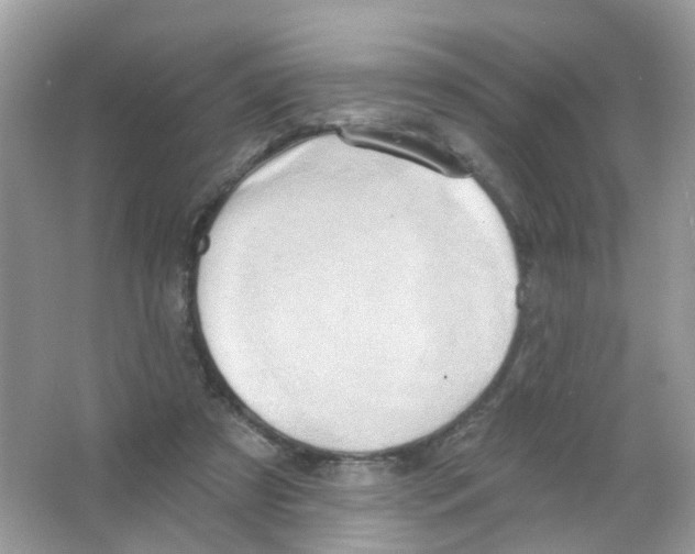 X0000063530305200602172250