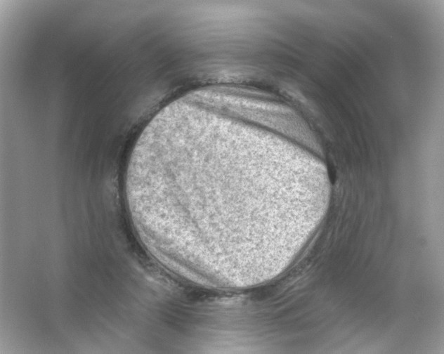 X0000063530306200602172250