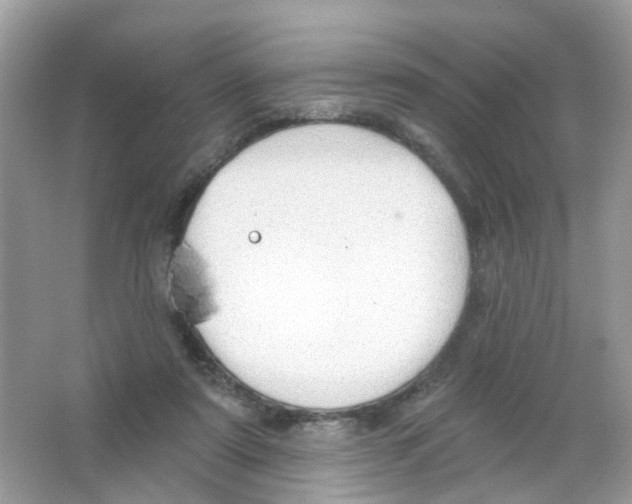 X0000063530307200602172250