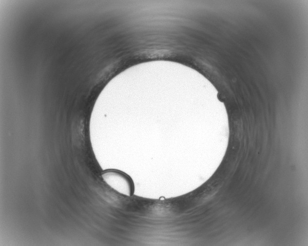 X0000063530308200602172250