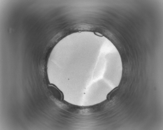 X0000063530309200602172250