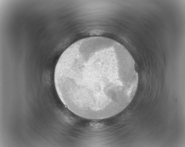 X0000063530311200602172250