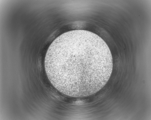 X0000063530312200602172250