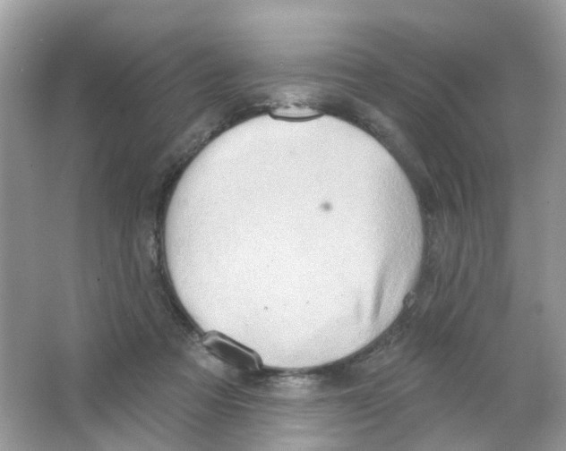 X0000063530313200602172250