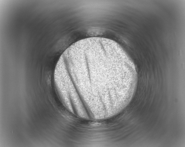 X0000063530315200602172250