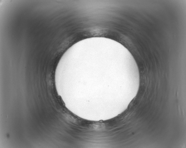 X0000063530317200602172250