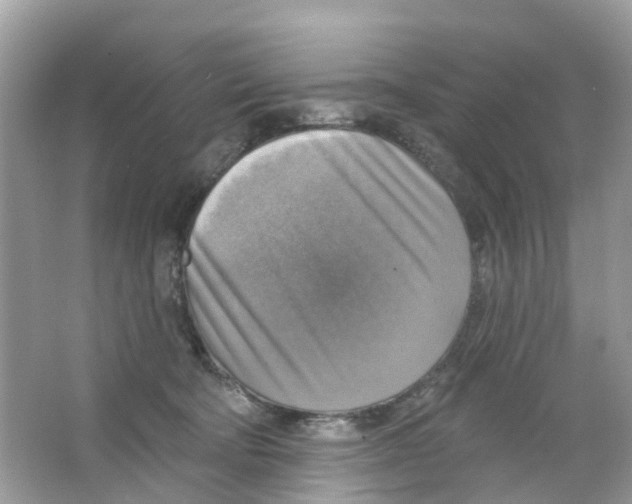 X0000063530322200602172250