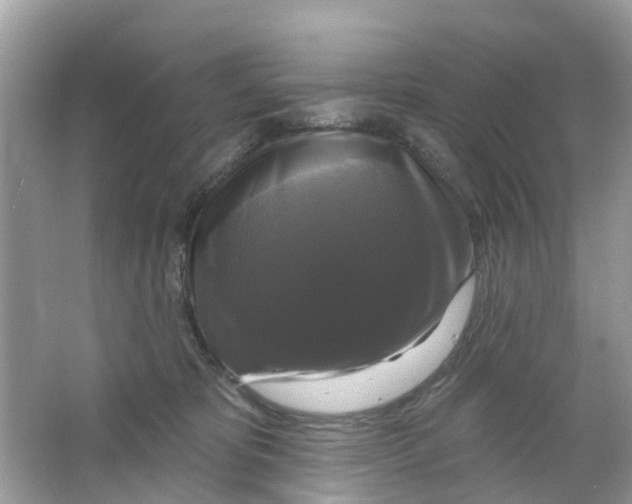 X0000063530325200602172250