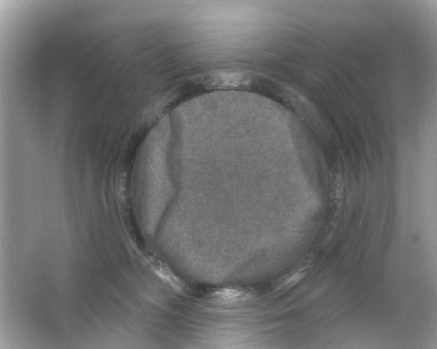 X0000063530326200602172250