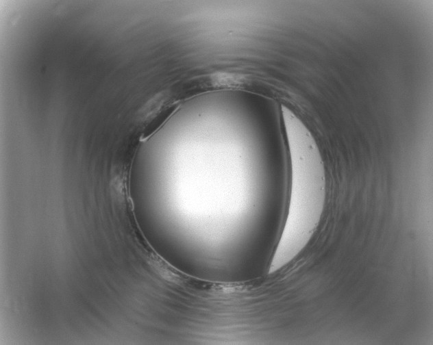 X0000063530329200602172250