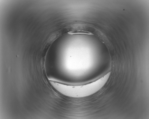 X0000063530333200602172249