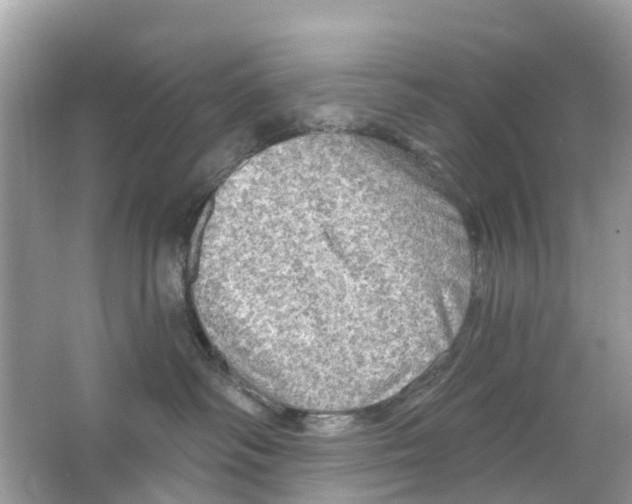 X0000063530334200602172249