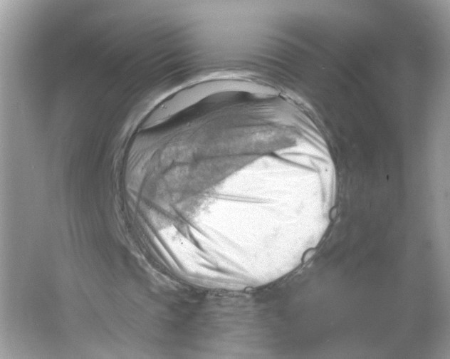 X0000063530337200602172248