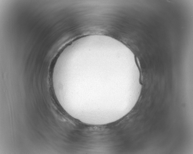 X0000063530338200602172249