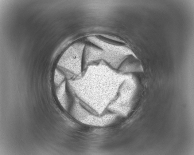 X0000063530341200602172249