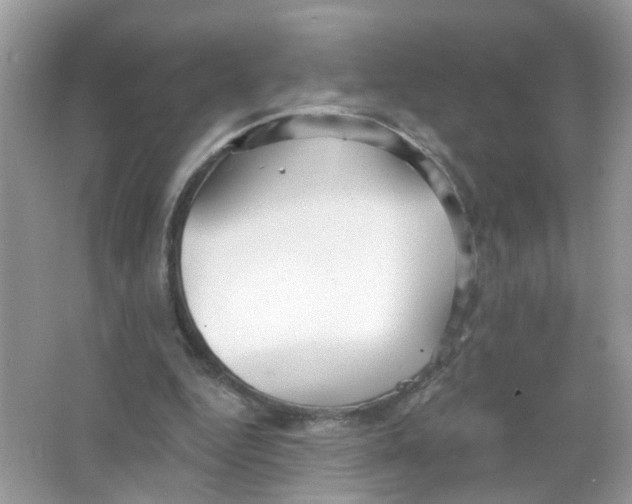 X0000063530344200602172249