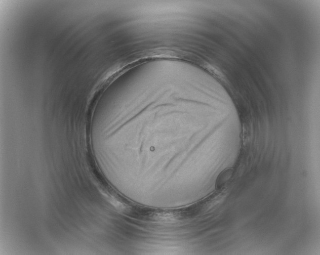 X0000063530349200602172249