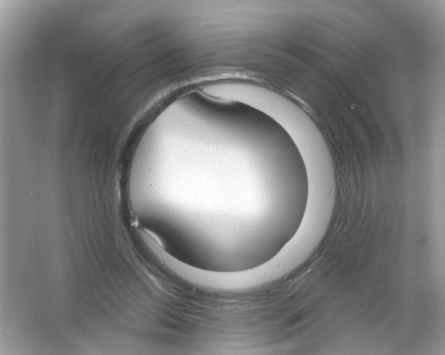 X0000063530350200602172249