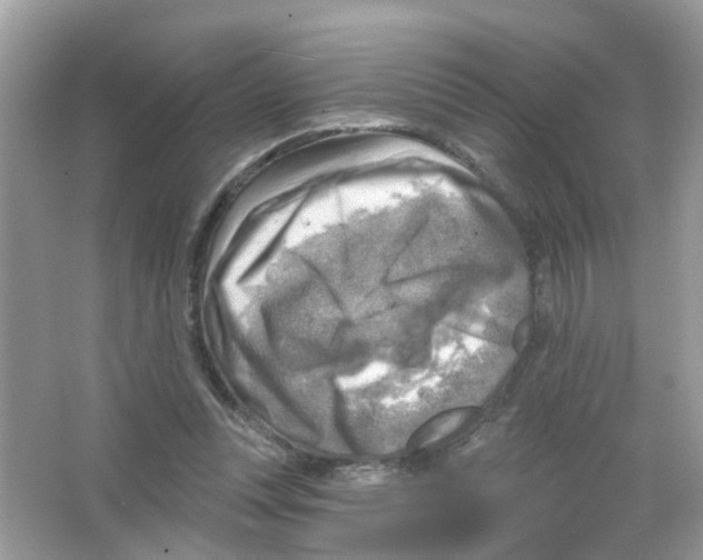 X0000063530351200602172249