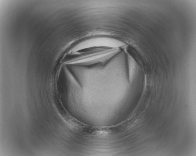 X0000063530352200602172249