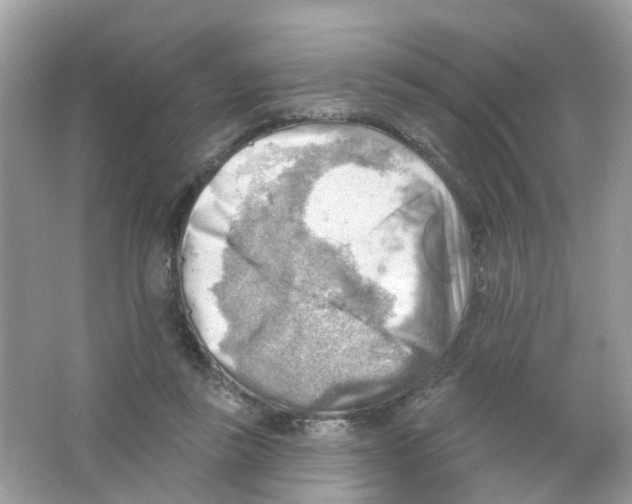 X0000063530355200602172249