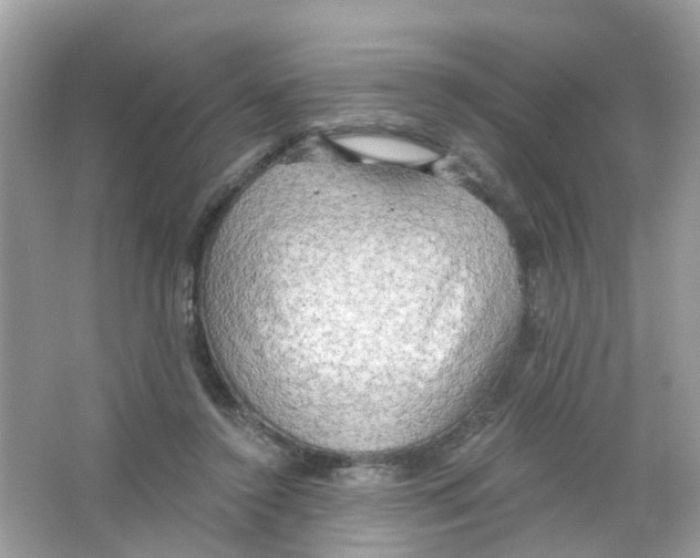 X0000063530356200602172249