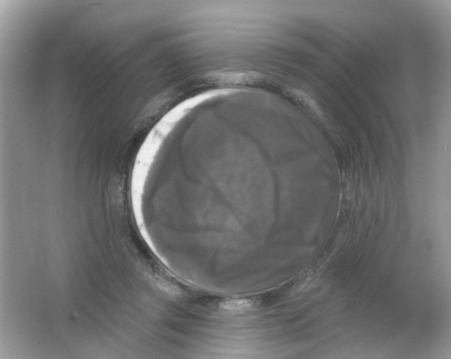 X0000063530357200602172249