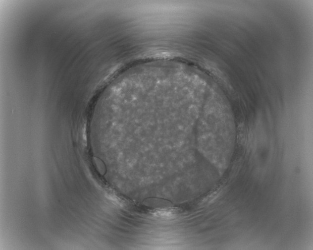 X0000063530358200602172249