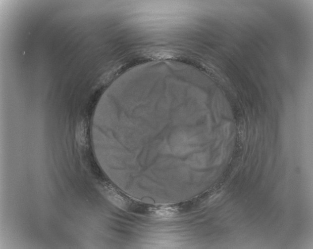 X0000063530359200602172249