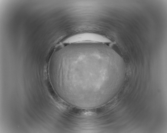 X0000063530360200602172249