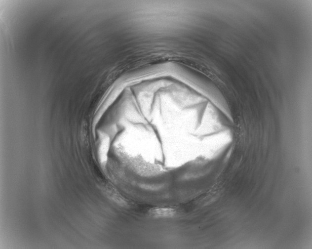 X0000063530361200602172249