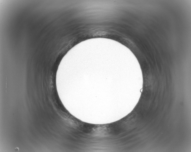 X0000063530362200602172249