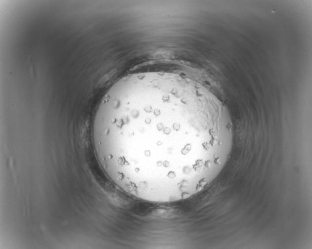 X0000063530364200602172249