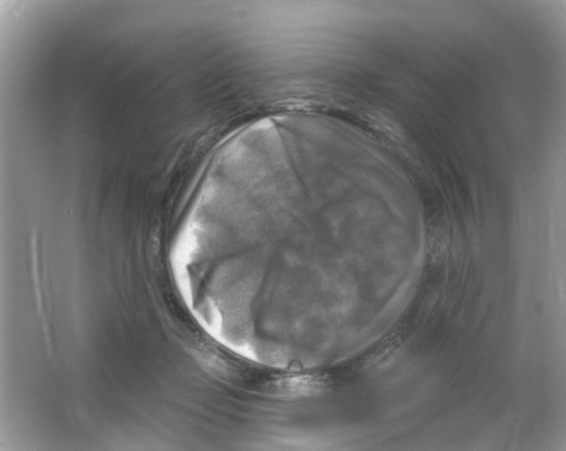 X0000063530365200602172249