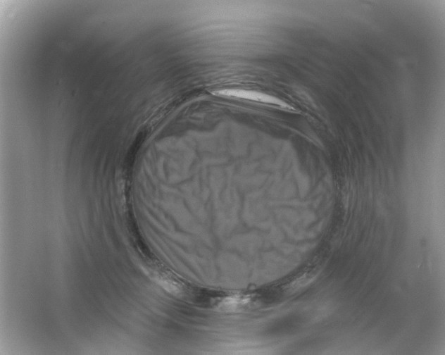 X0000063530366200602172249