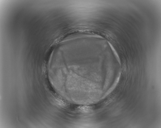 X0000063530367200602172249