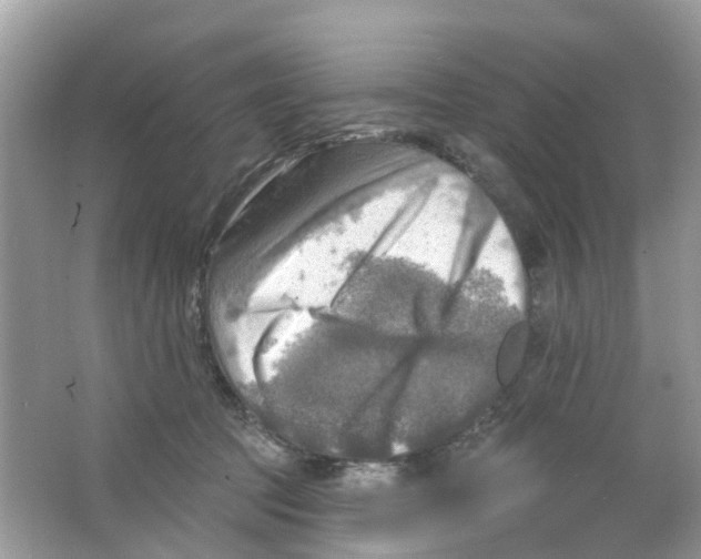 X0000063530369200602172249