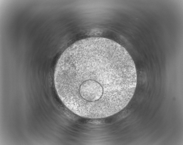 X0000063530370200602172249