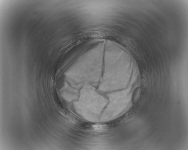 X0000063530371200602172249