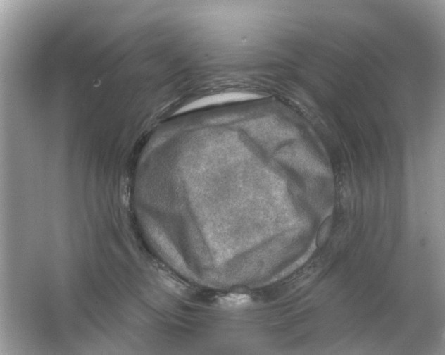 X0000063530374200602172249