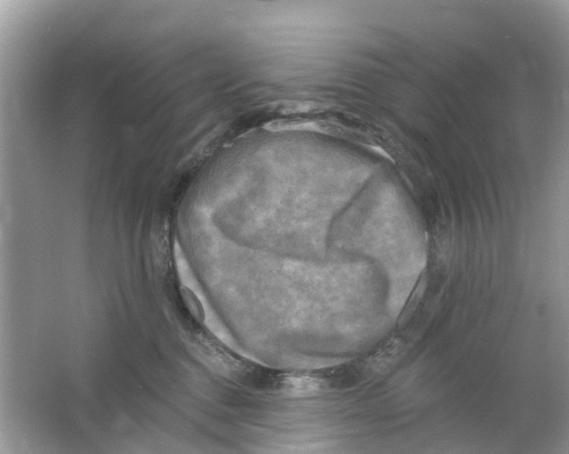 X0000063530376200602172249