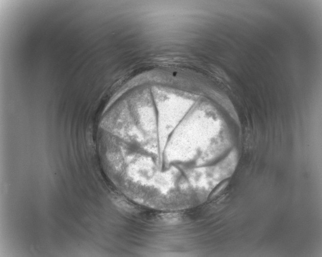 X0000063530377200602172249