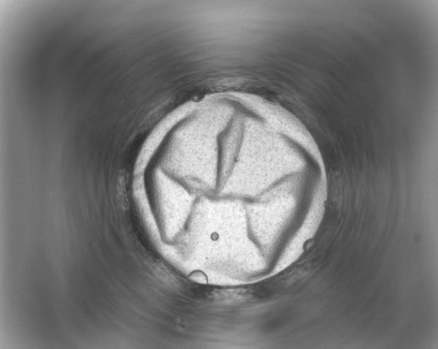 X0000063530378200602172249